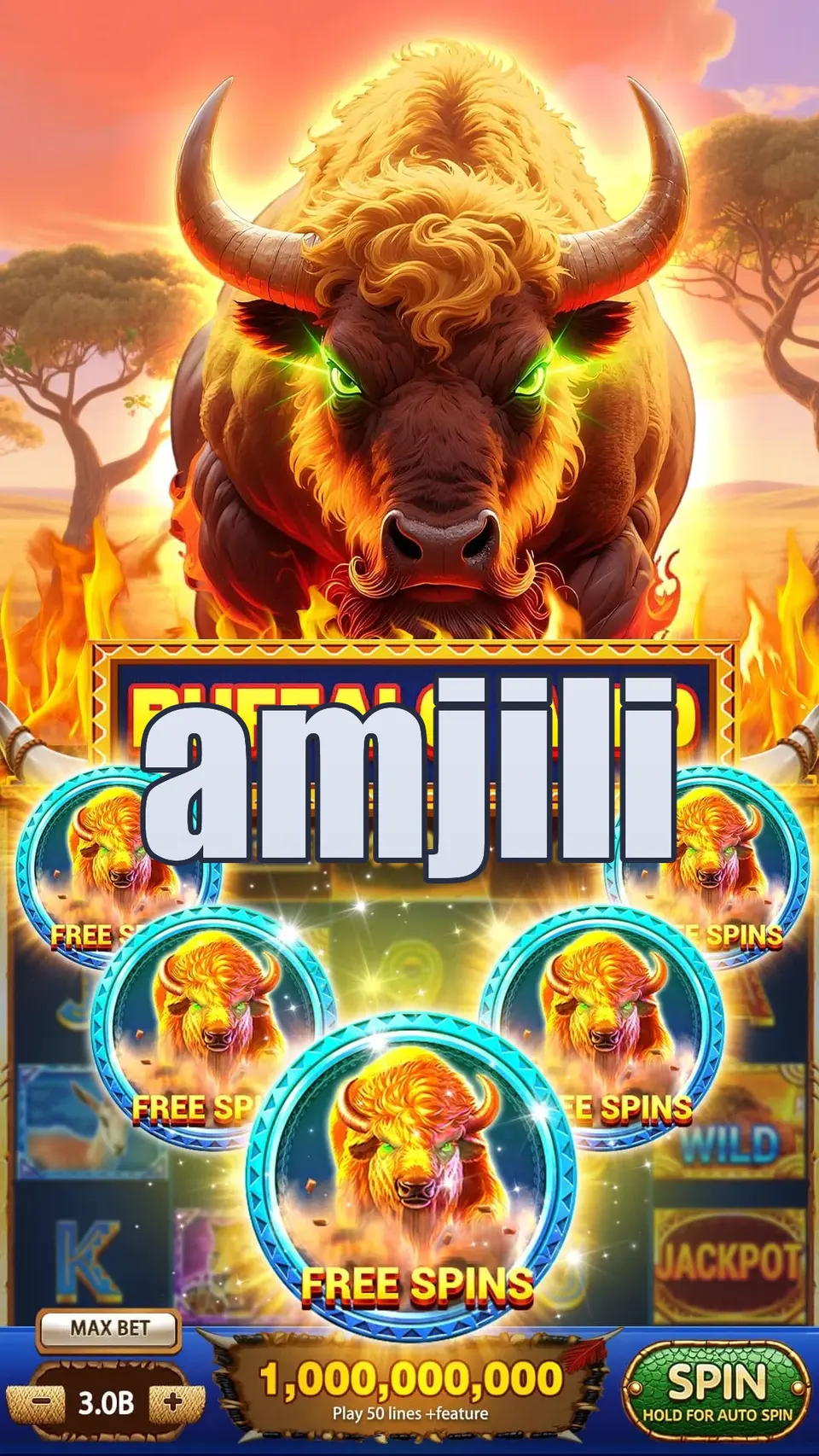 amjili Preview